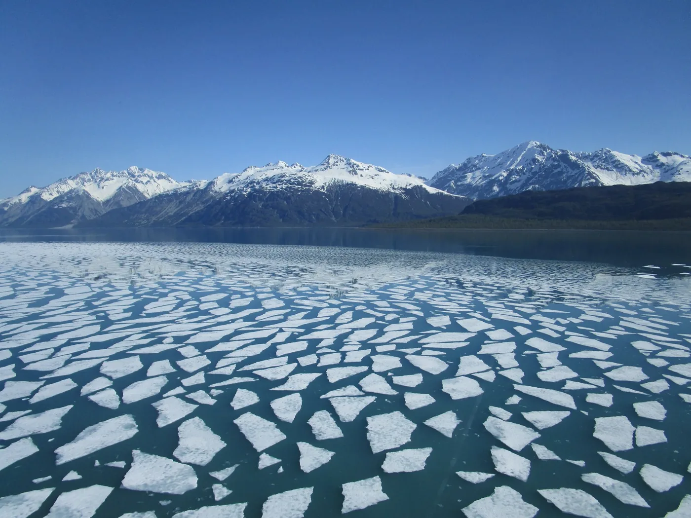 Floating ice and snowy mountains in Glacier Bay National Park and Preserve.