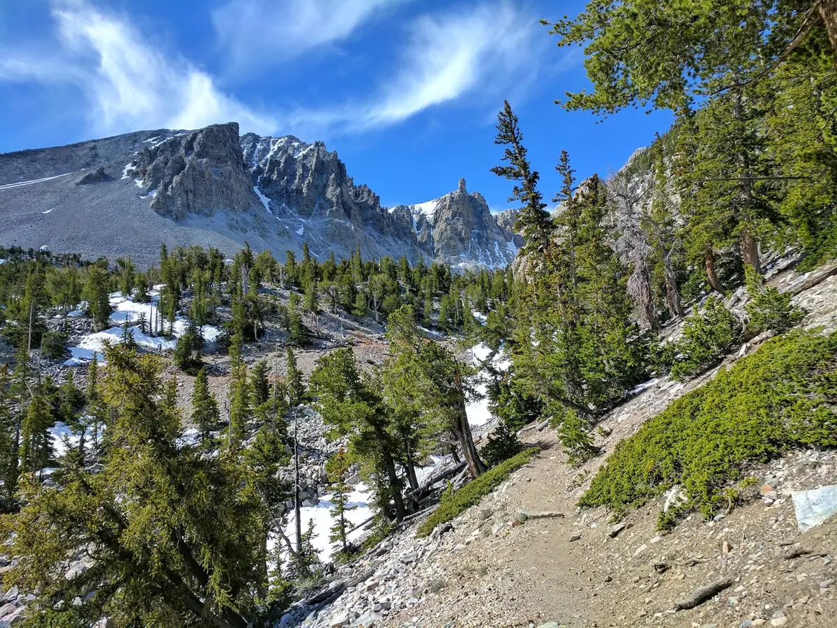 Pines and rocky mountain slopes along the bristlecone trail in Great Basin National Park.
