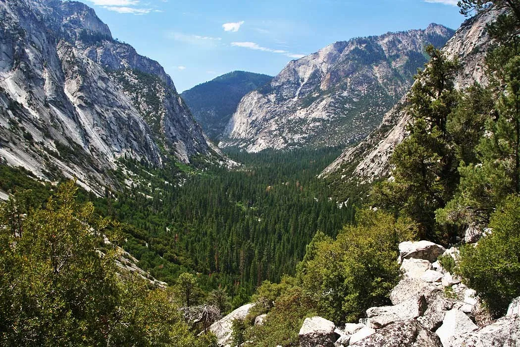 Granite cliffs enclosing a forested valley in Kings Canyon National Park.