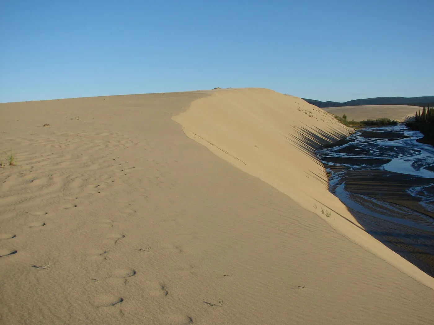 Low sunlight across the Great Kobuk Sand Dunes and a winding creek in Kobuk Valley National Park.