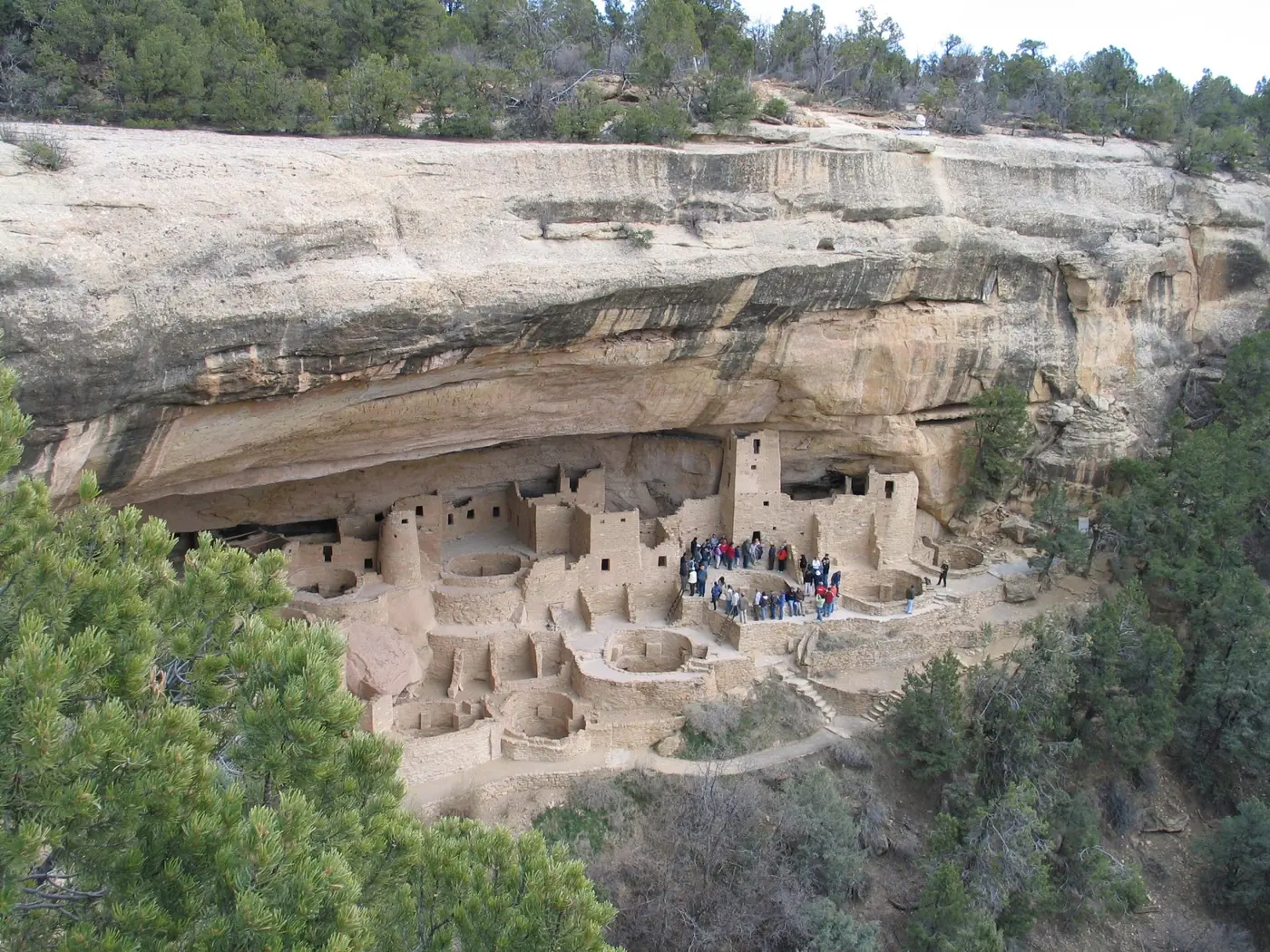 Cliff Palace buildings sheltered beneath a sandstone alcove in Mesa Verde National Park.