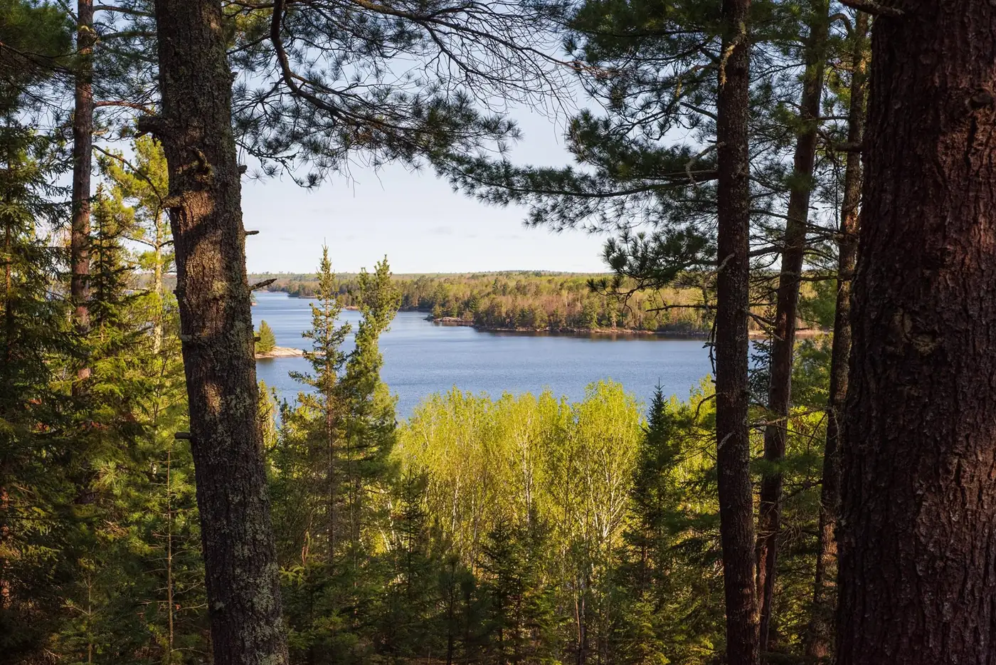 A quiet lake viewed through the forest in Voyageurs National Park.