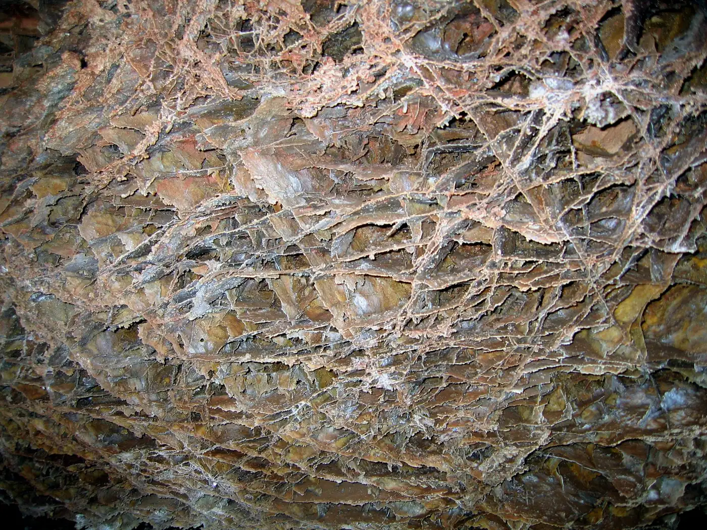 The delicate crisscrossing calcite formations known as boxwork in Wind Cave National Park.